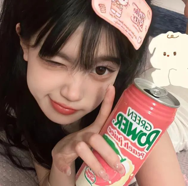 古惑仔情义篇之洪兴十三妹