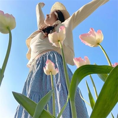 水龙吟